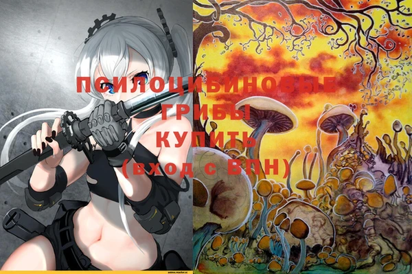 мяу мяу мука Алзамай