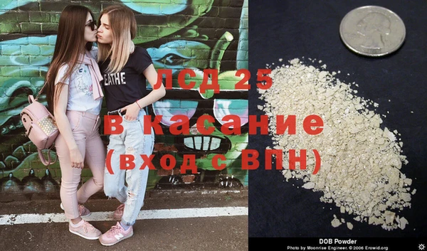 мяу мяу мука Алзамай