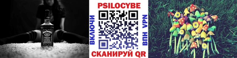 Псилоцибиновые грибы Cubensis  цена наркотик  Новозыбков 